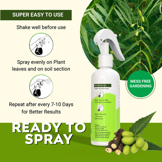 360Protect™ - Pure Neem Plant Protection Spray 🌱✨ (Buy 1 Get 1 Free🔥🔥)