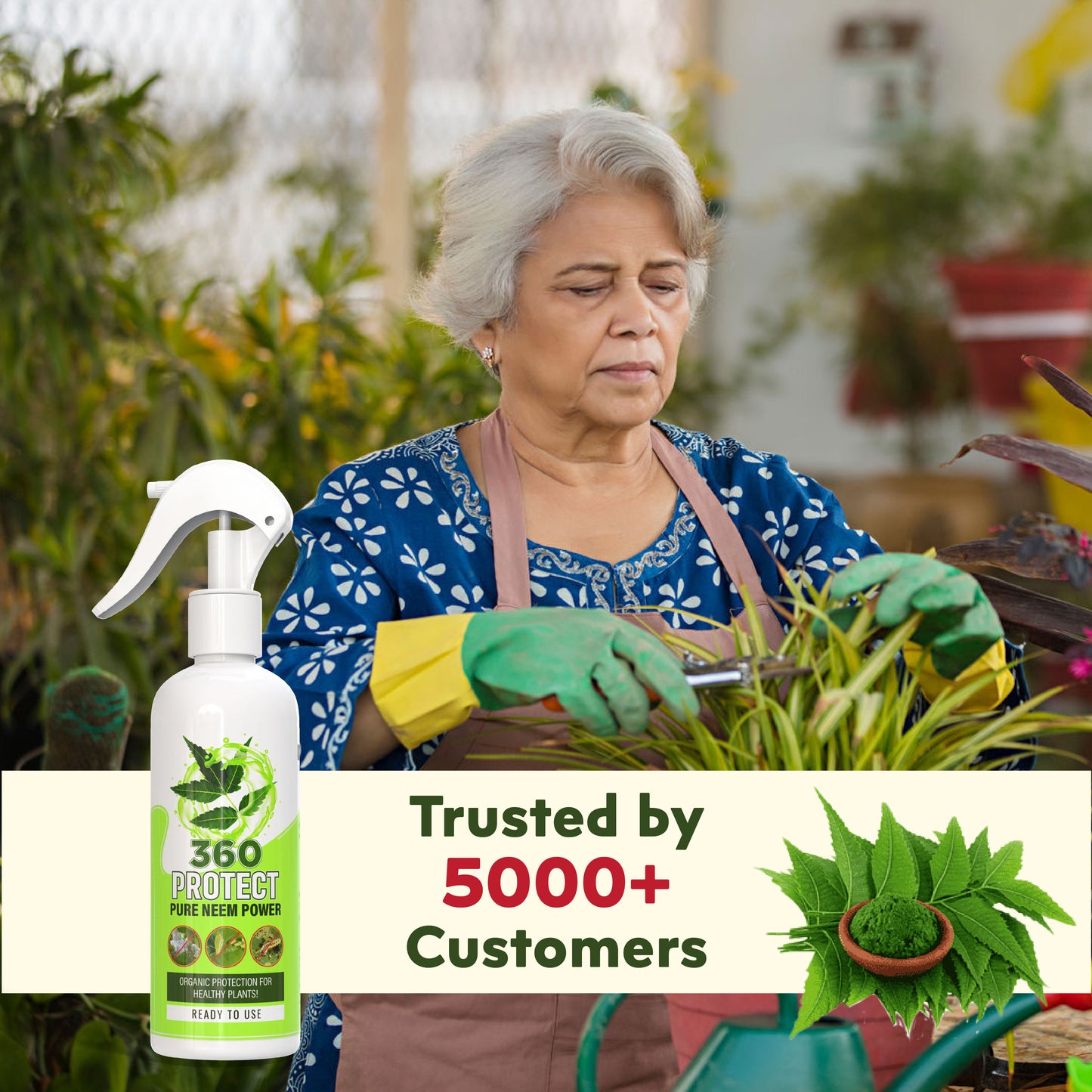 360Protect™ - Pure Neem Plant Protection Spray 🌱✨ (Buy 1 Get 1 Free🔥🔥)